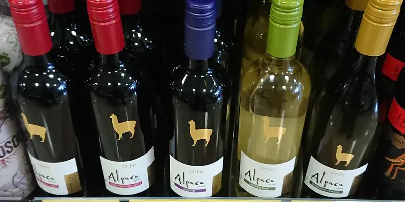店頭に並ぶチリ産の人気ワイン「アルパカ」シリーズ各種
