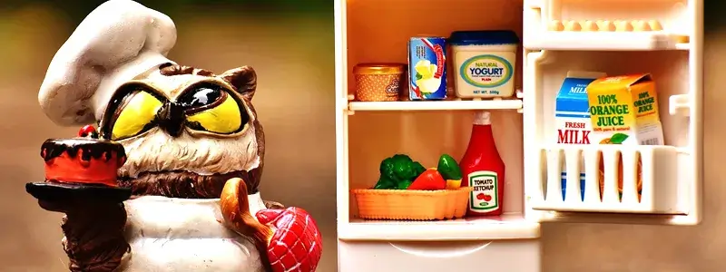 冷蔵庫と食材を持つシェフのフクロウのフィギュア。シャトレーゼワインの保存方法をイメージ。
