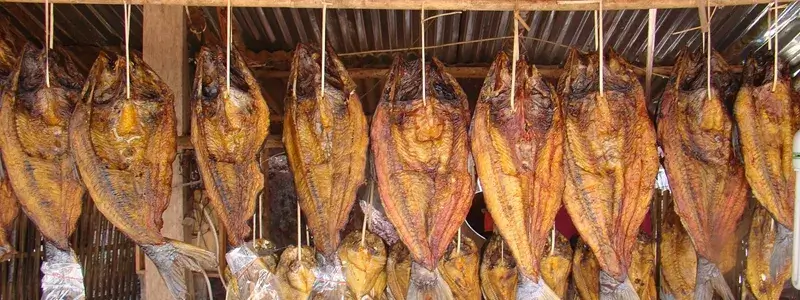 吊るして干されているサバなどの干物。ワイン鯖もこのように干物として加工されることが多い