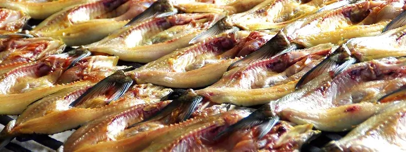 開きにされたサバの干物がきれいに並べられて乾燥している様子。ワイン鯖の加工方法とも共通する工程の一例