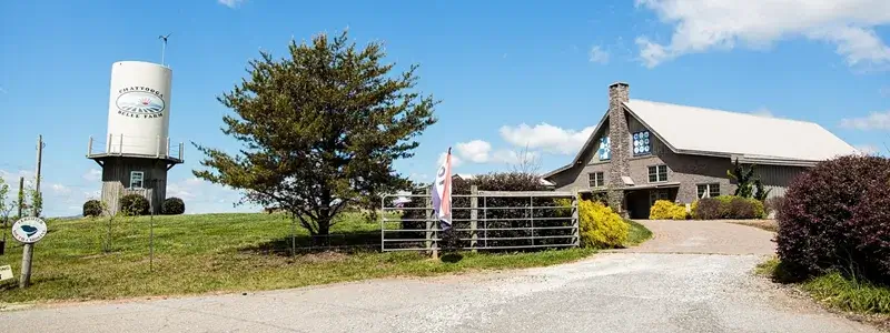 青空の下に広がるワイナリーの建物と敷地。サッポロビールのワイン造りを象徴する風景。