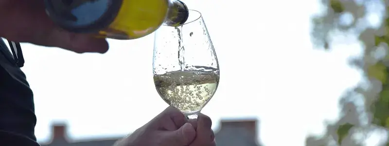 ワイングラスに白ワインを注いでいる女性の手元の写真。